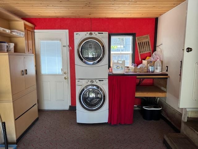Interior, Utility Closets, Washer, Wooden Ceilings
