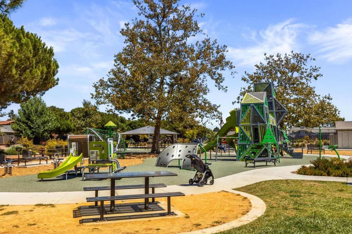 Backyard, Exterior, Playground
