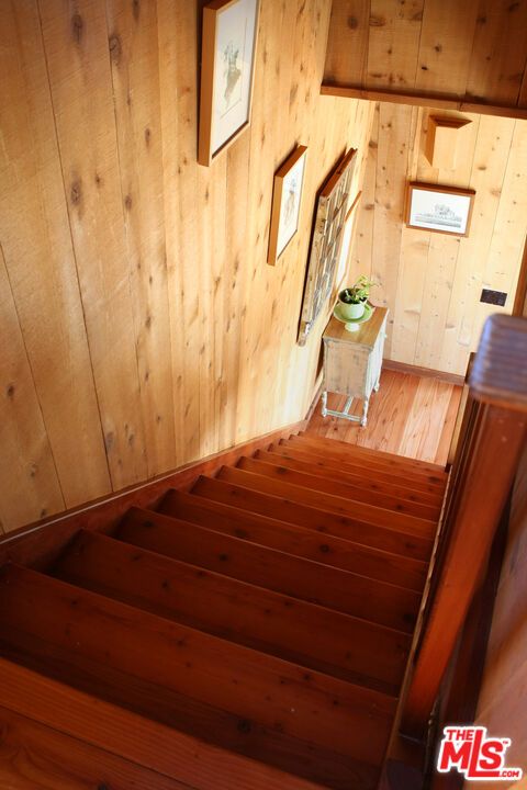 Interior, Wood Texture Flooring, Wooden Walls