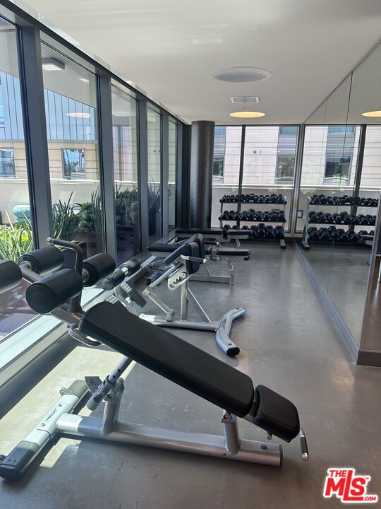 Fitness Equipment, Gym, Interior, Recessed Lighting