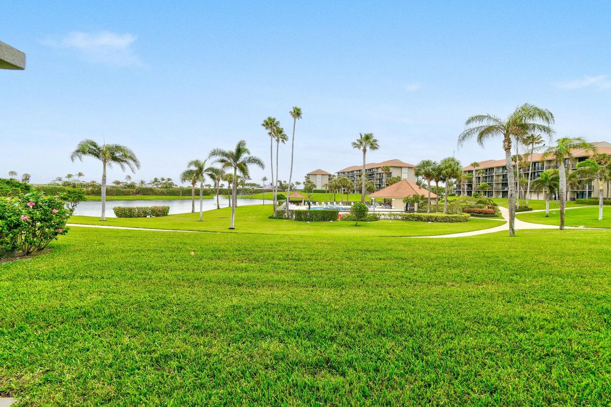 Backyard, Exterior, Water