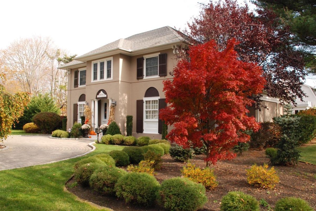 Backyard, Exterior, Facade, French Provincial
