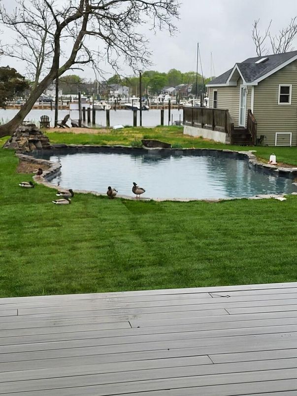 Backyard, Exterior, Pool, Water