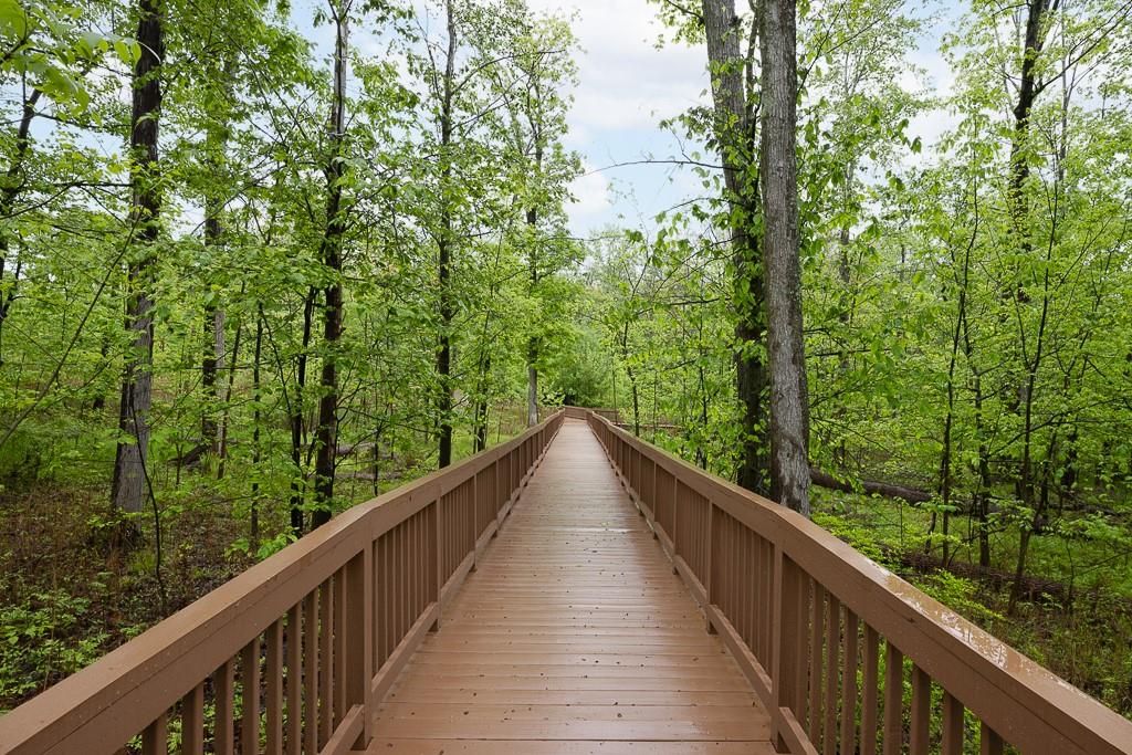 Exterior, Wood Texture Flooring