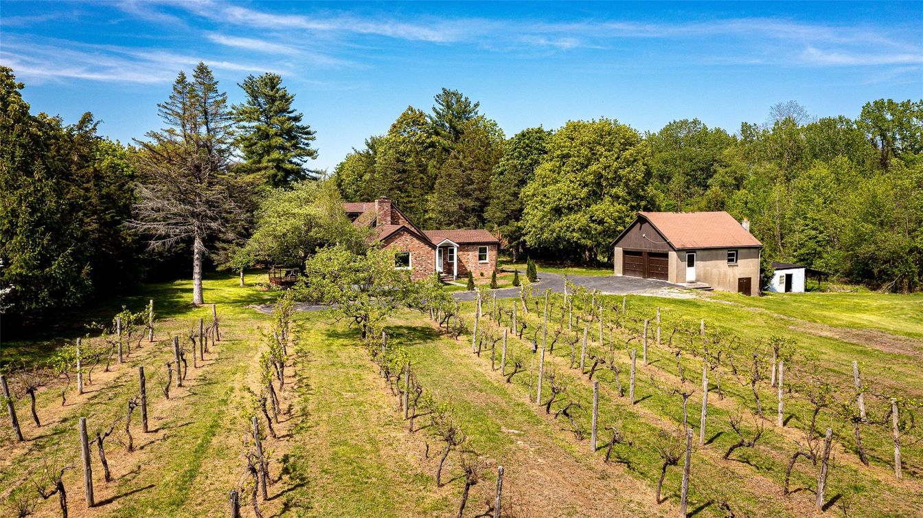 Backyard, Detached Garage, Exterior