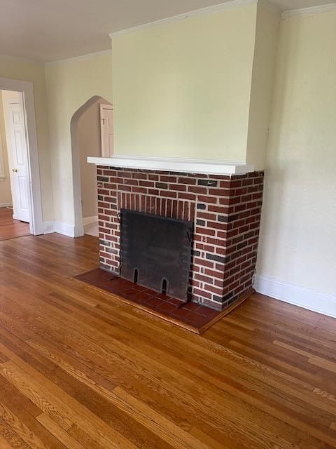 Fireplace, Interior, Wood Texture Flooring