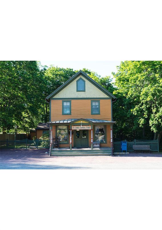 Backyard, Exterior, Facade, Queen Anne Victorian