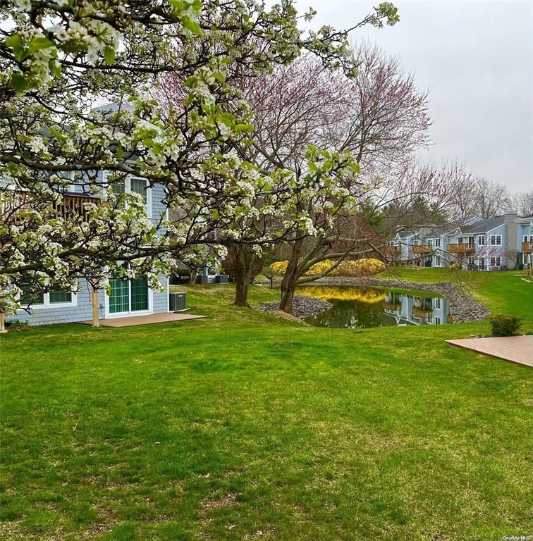 Backyard, Exterior, Water