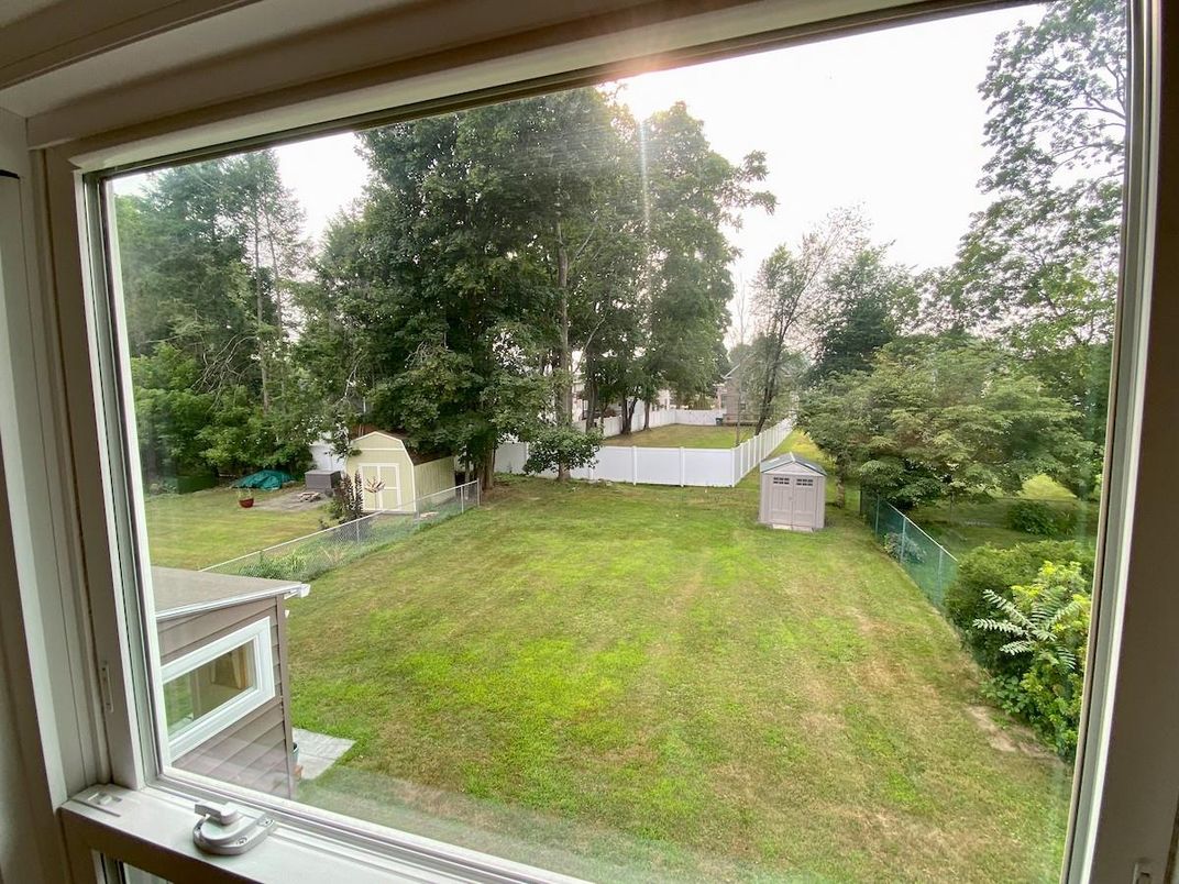 Backyard, Exterior, Interior