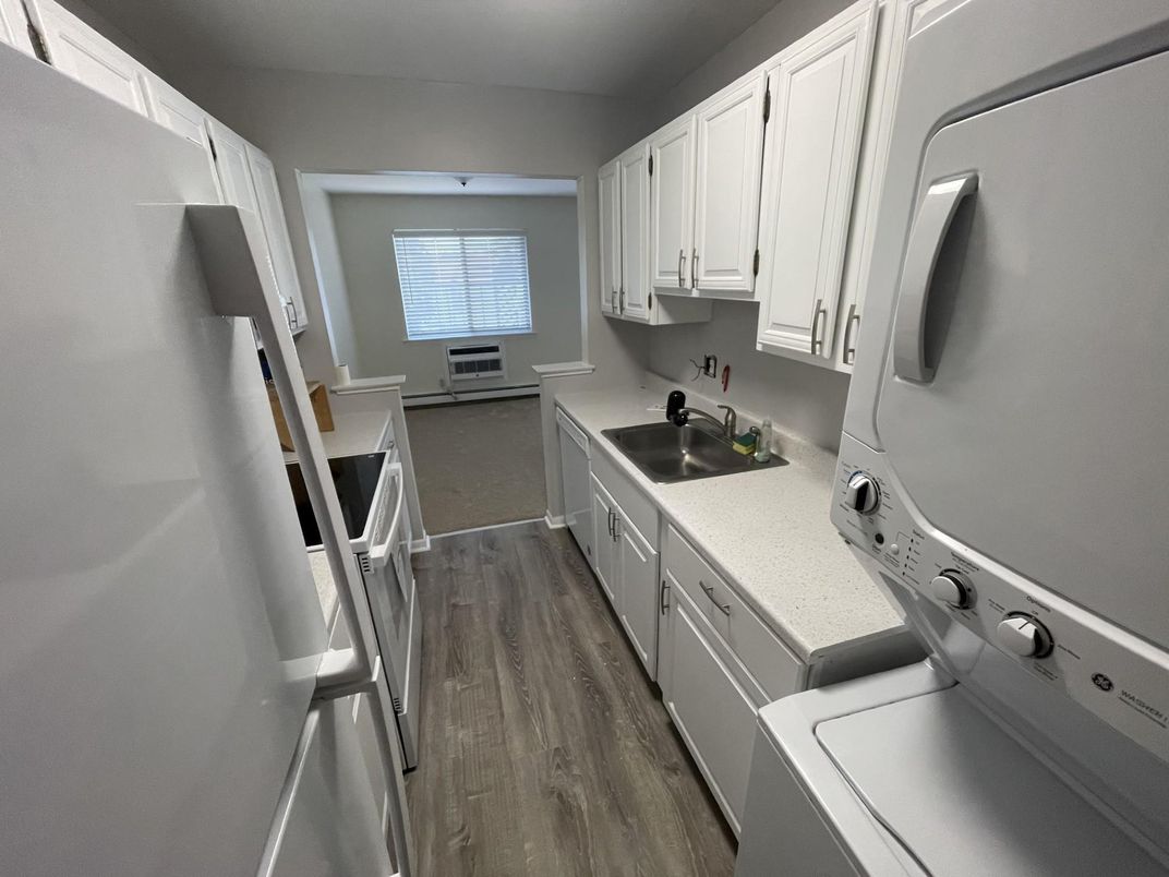 Interior, Kitchen, Washer, Wood Texture Flooring