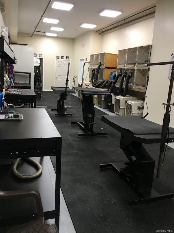 Fitness Equipment, Game Room, Interior, Recessed Lighting