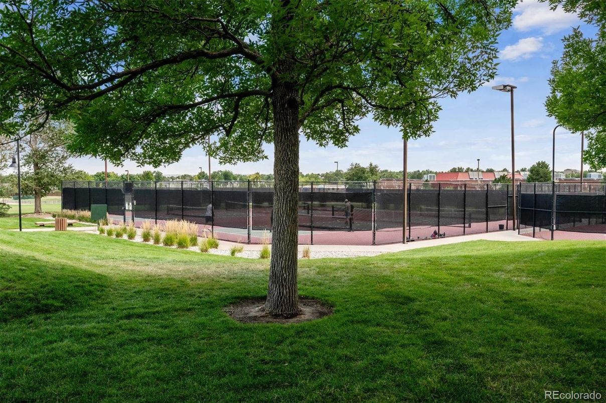 Exterior, Tennis Courts