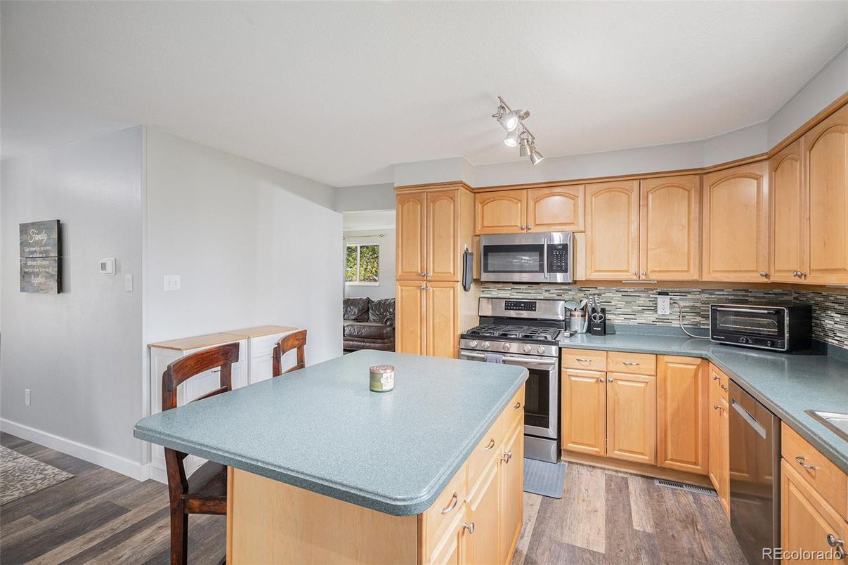 Interior, Kitchen, Stainless Steel Appliances, Wood Texture Flooring