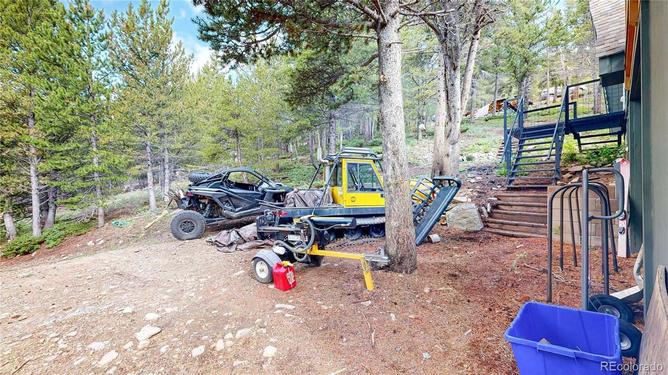 Backyard, Exterior, Playground