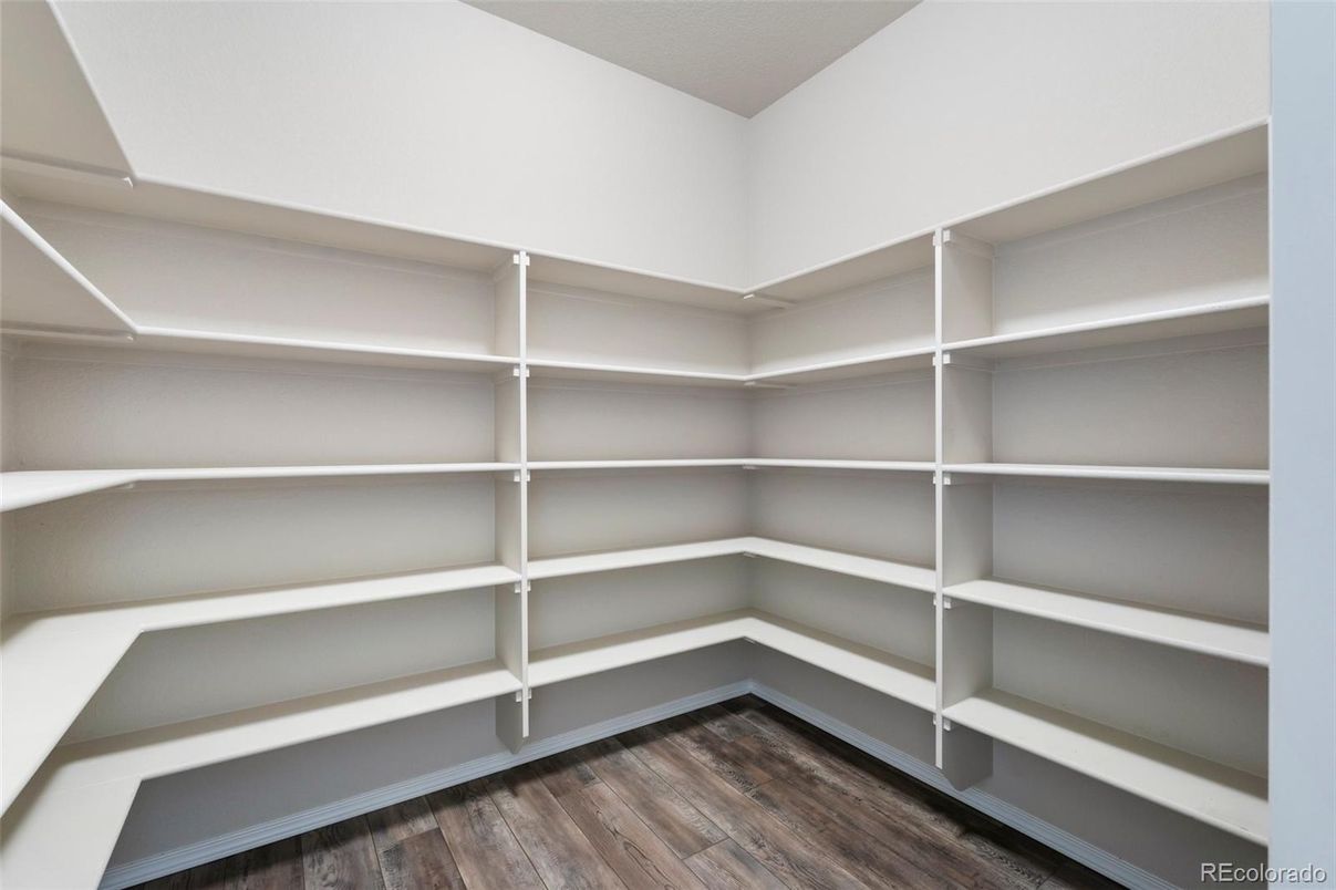 Interior, Walk-in Closets, Wood Texture Flooring