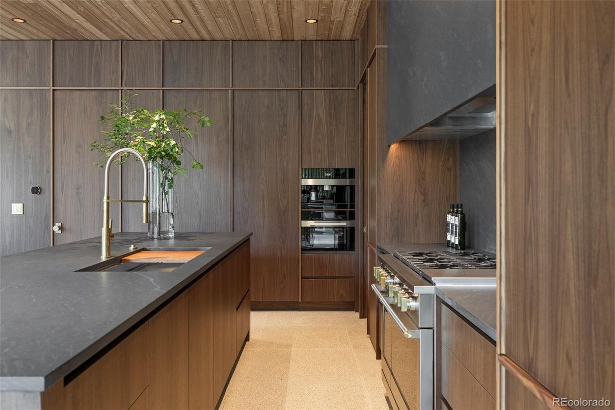 Interior, Kitchen, Recessed Lighting, Stainless Steel Appliances, Wooden Ceilings