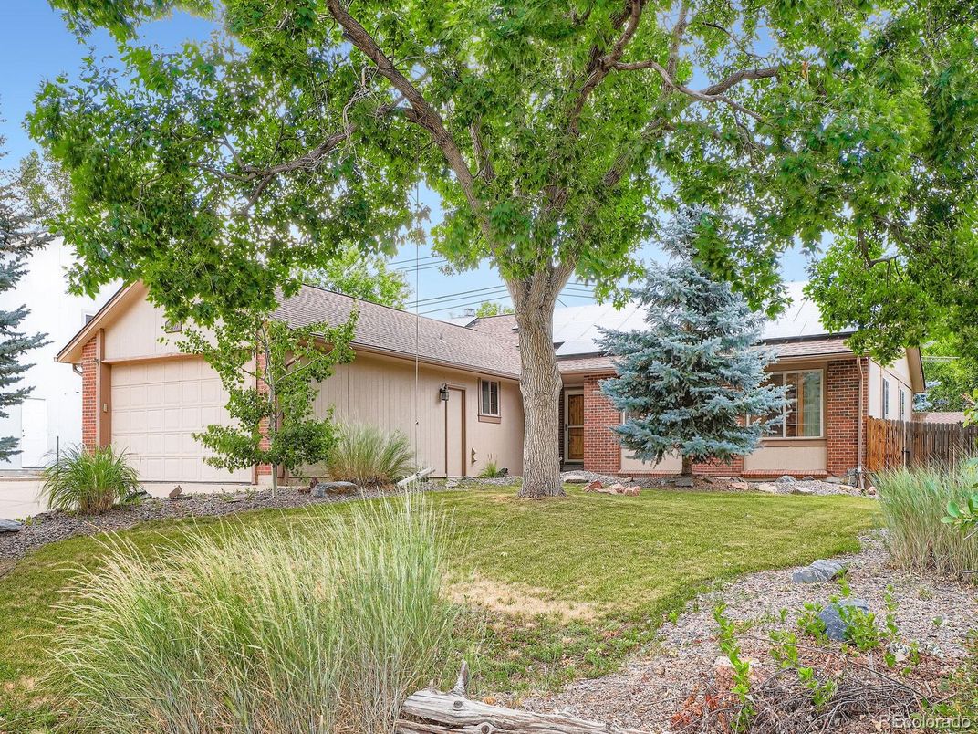 Backyard, Detached Garage, Exterior