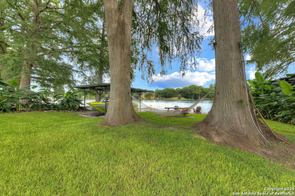 Backyard, Exterior, Water