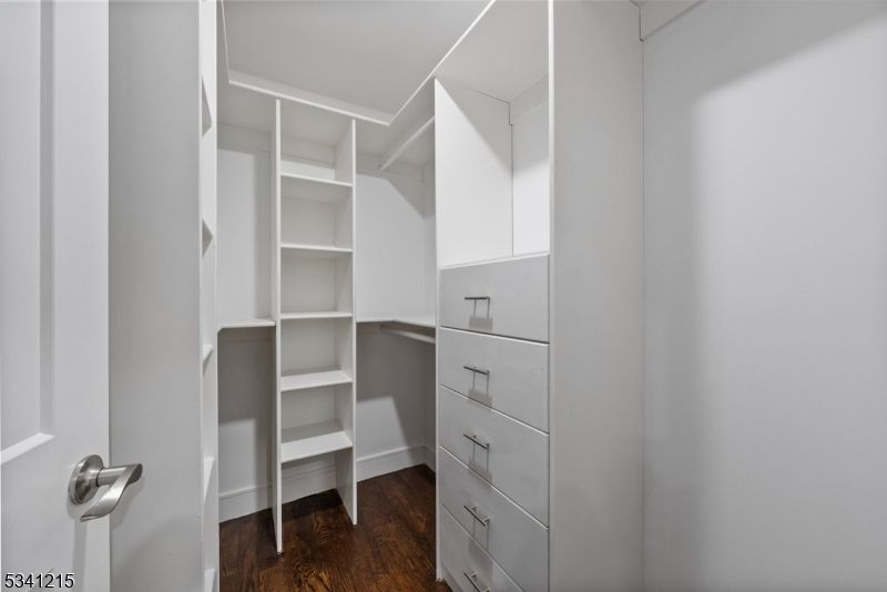 Interior, Walk-in Closets, Wood Texture Flooring