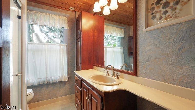 Bathroom, Interior, Wooden Ceilings