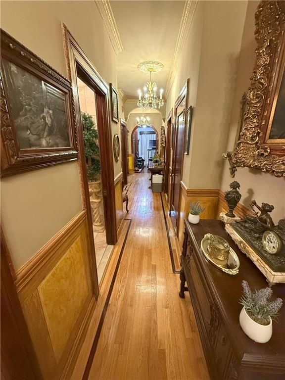 Chandelier, Interior, Wood Texture Flooring