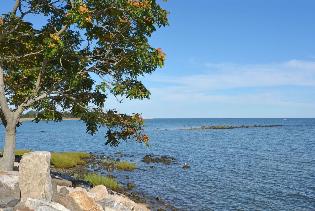 Exterior, Lake