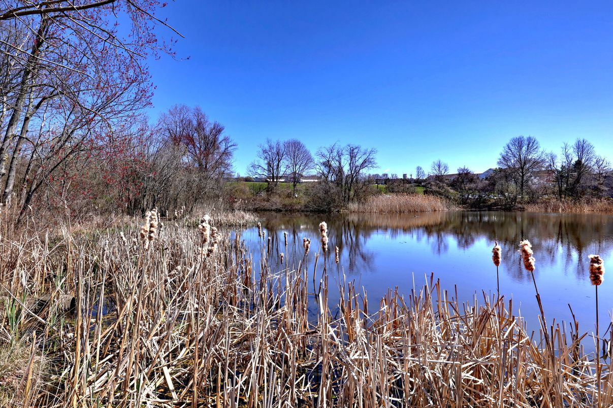 Exterior, Lake