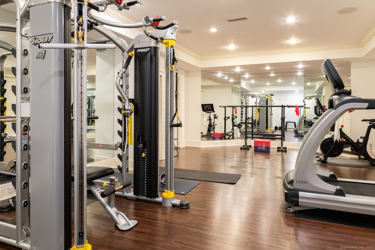 Fitness Equipment, Gym, Interior, Recessed Lighting, Wood Texture Flooring