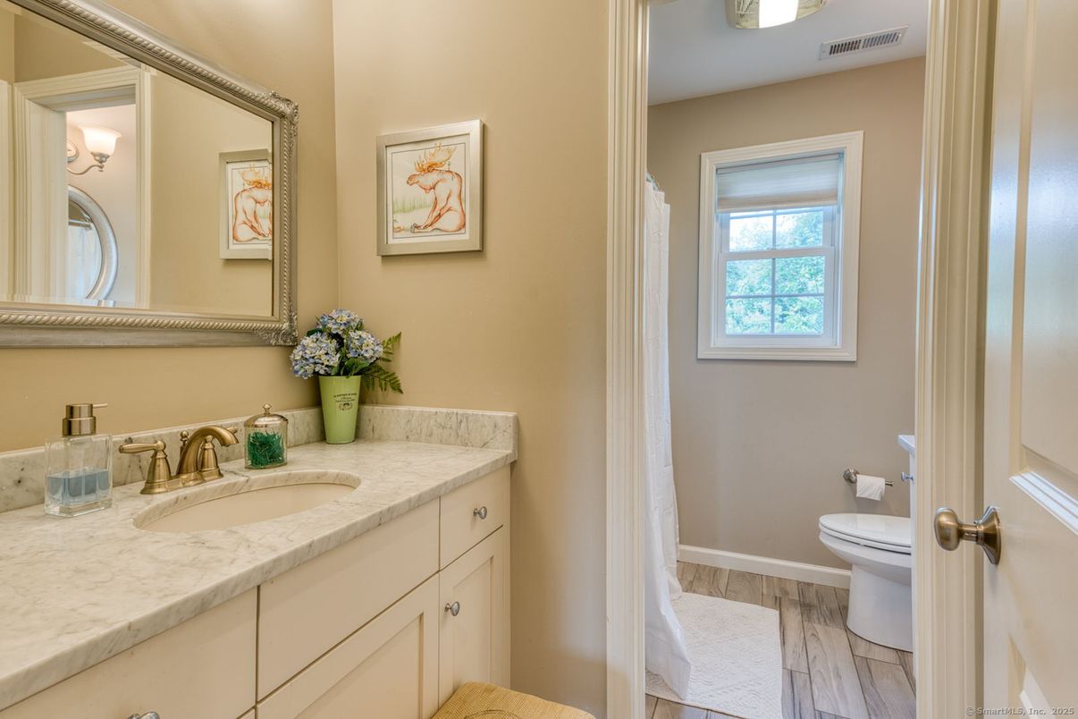 Bathroom, Interior, Wood Texture Flooring