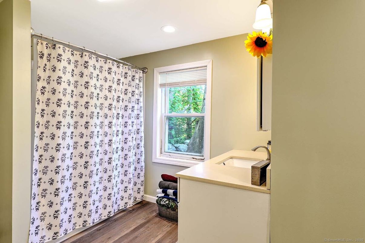 Bathroom, Interior, Recessed Lighting, Wood Texture Flooring