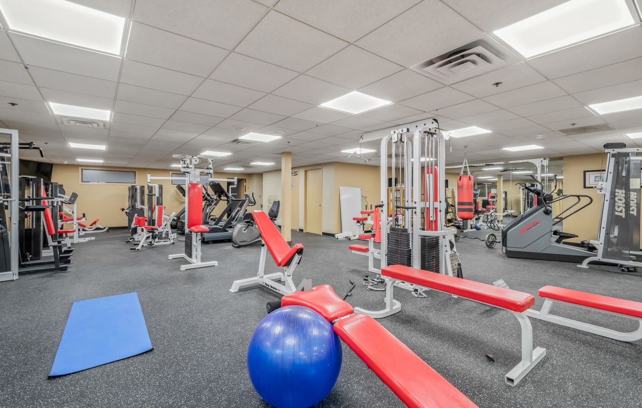 Fitness Equipment, Gym, Interior, Recessed Lighting