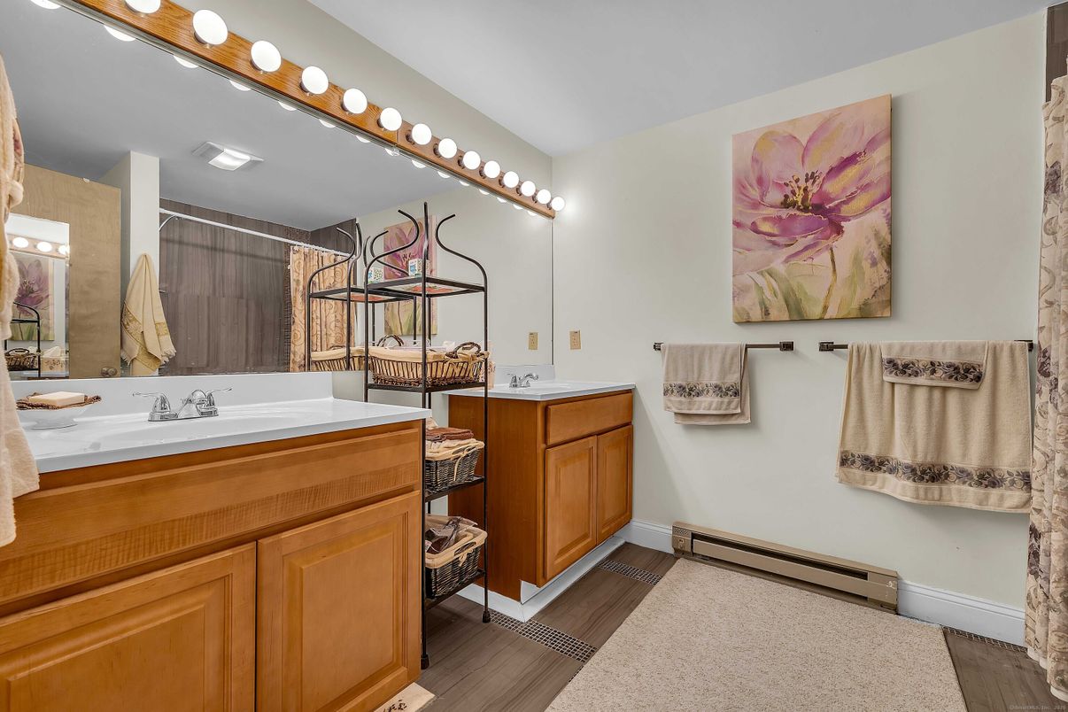 Bathroom, Dual Sink Vanities, Interior, Wood Texture Flooring