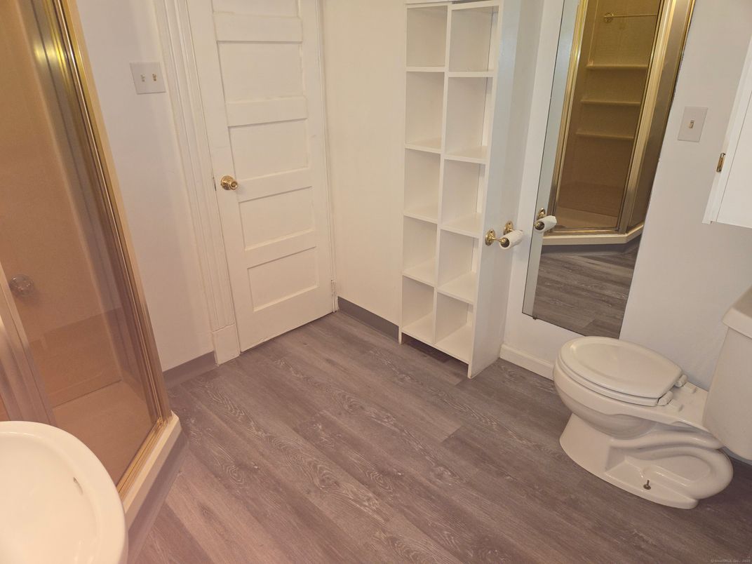 Bathroom, Interior, Walk-in Closets, Wood Texture Flooring