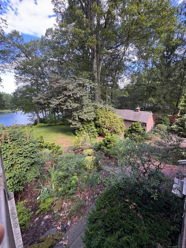 Backyard, Exterior, Water