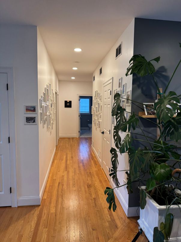 Interior, Recessed Lighting, Wood Texture Flooring