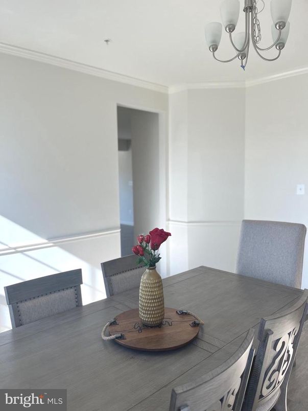 Chandelier, Dining room, Interior
