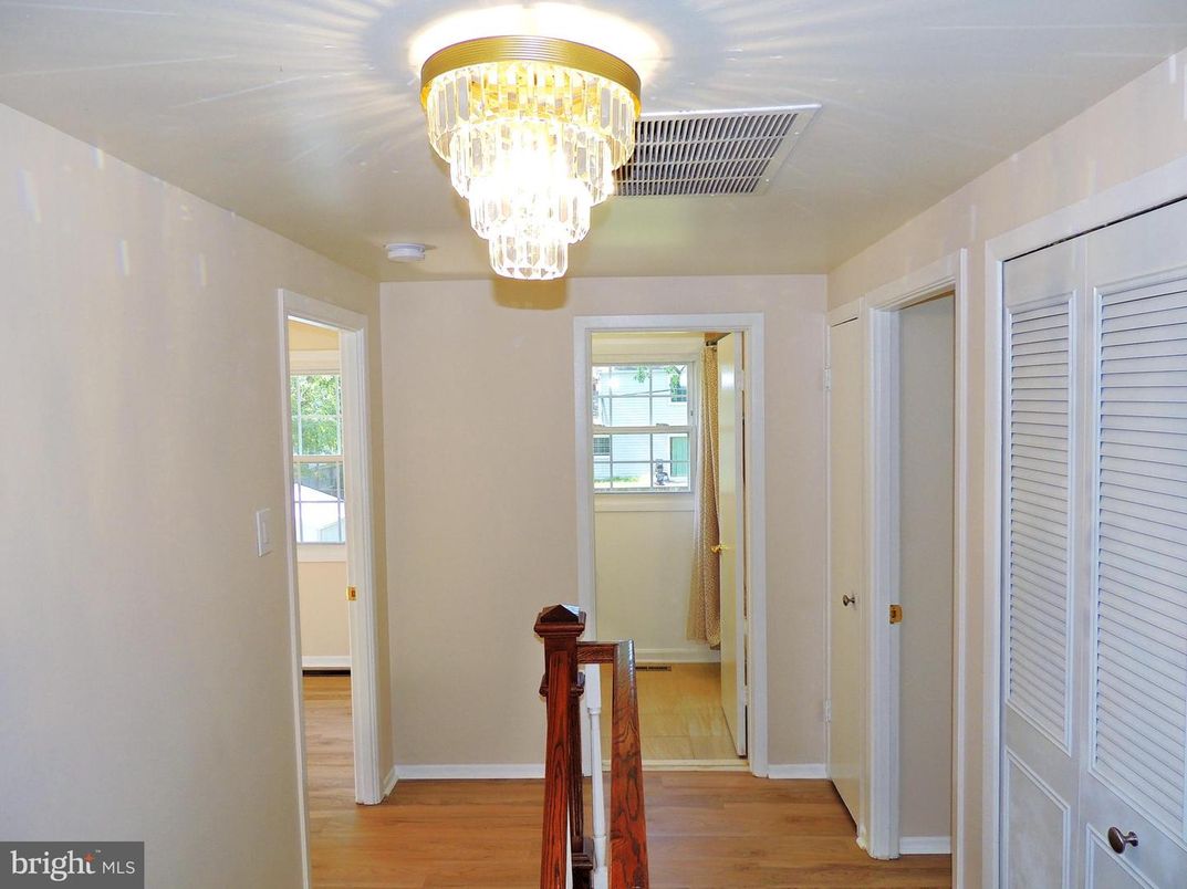 Chandelier, Interior, Wood Texture Flooring