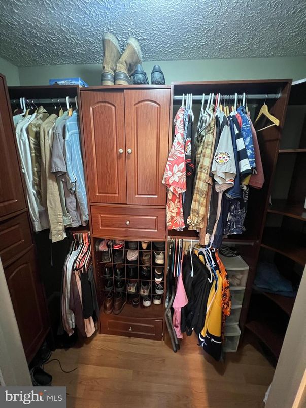 Interior, Walk-in Closets, Wood Texture Flooring