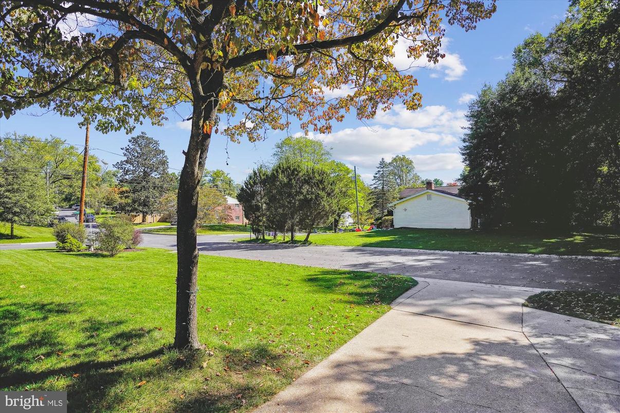 Backyard, Detached Garage, Exterior
