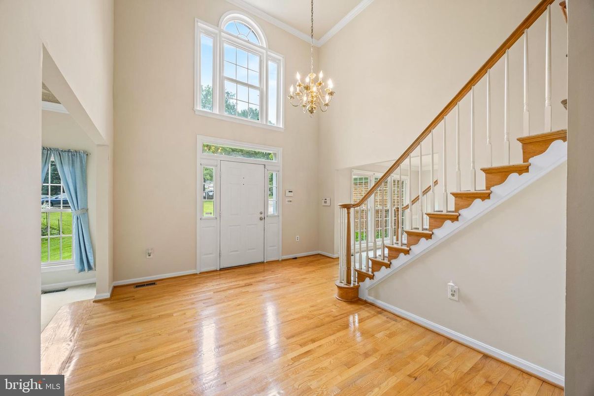 Chandelier, Interior, Wood Texture Flooring