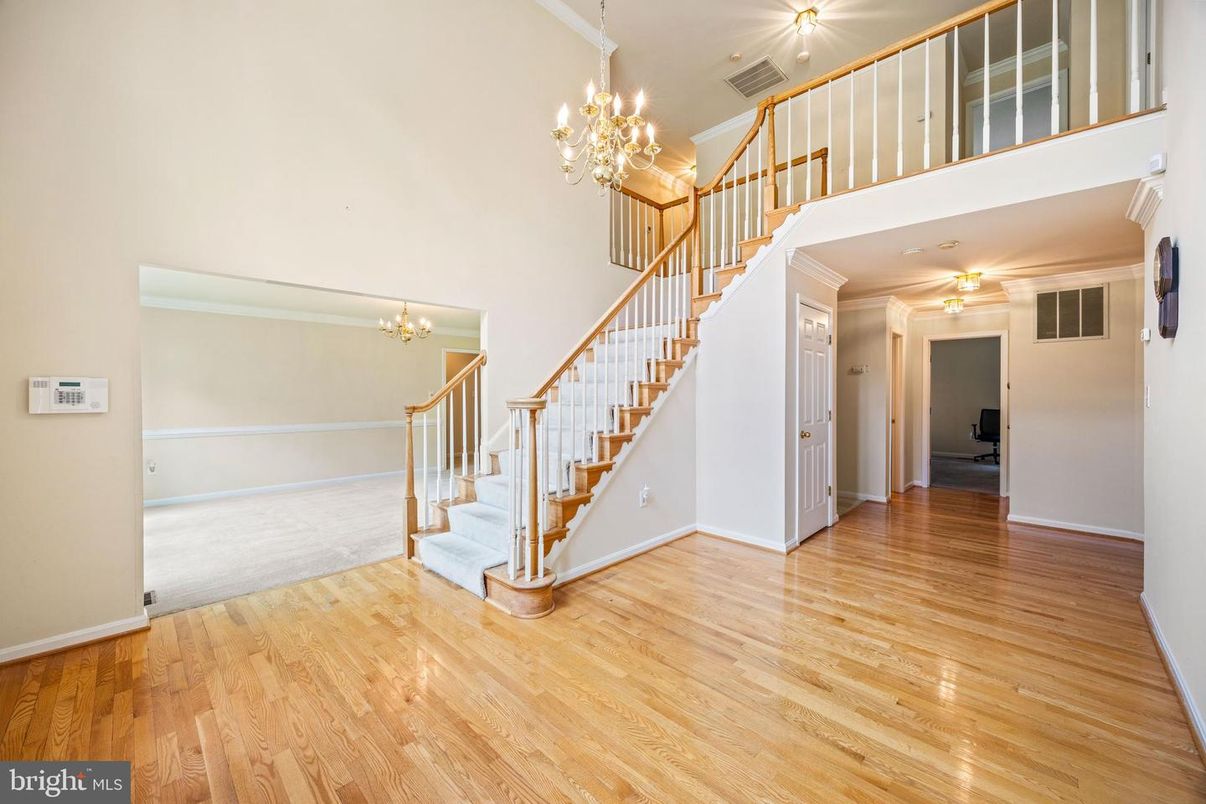 Chandelier, Interior, Wood Texture Flooring