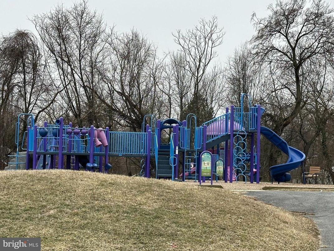 Backyard, Exterior, Playground
