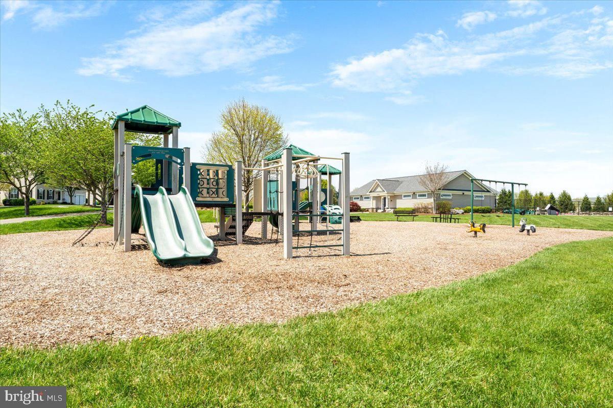 Backyard, Exterior, Playground