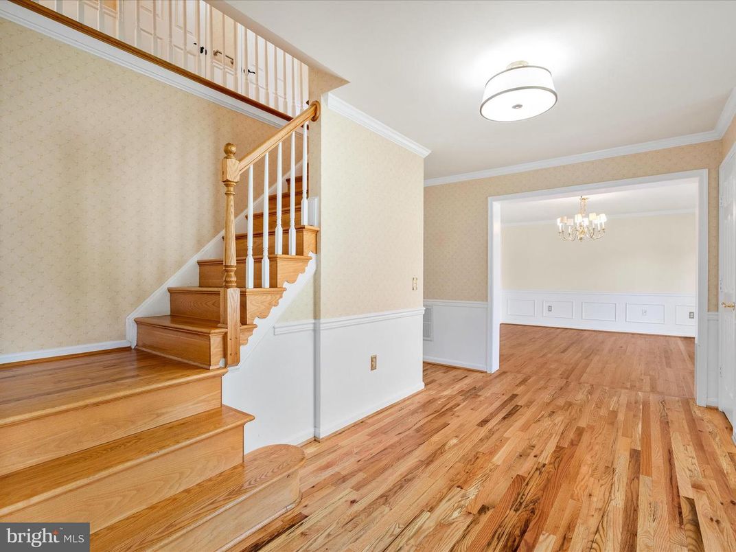 Chandelier, Interior, Wood Texture Flooring