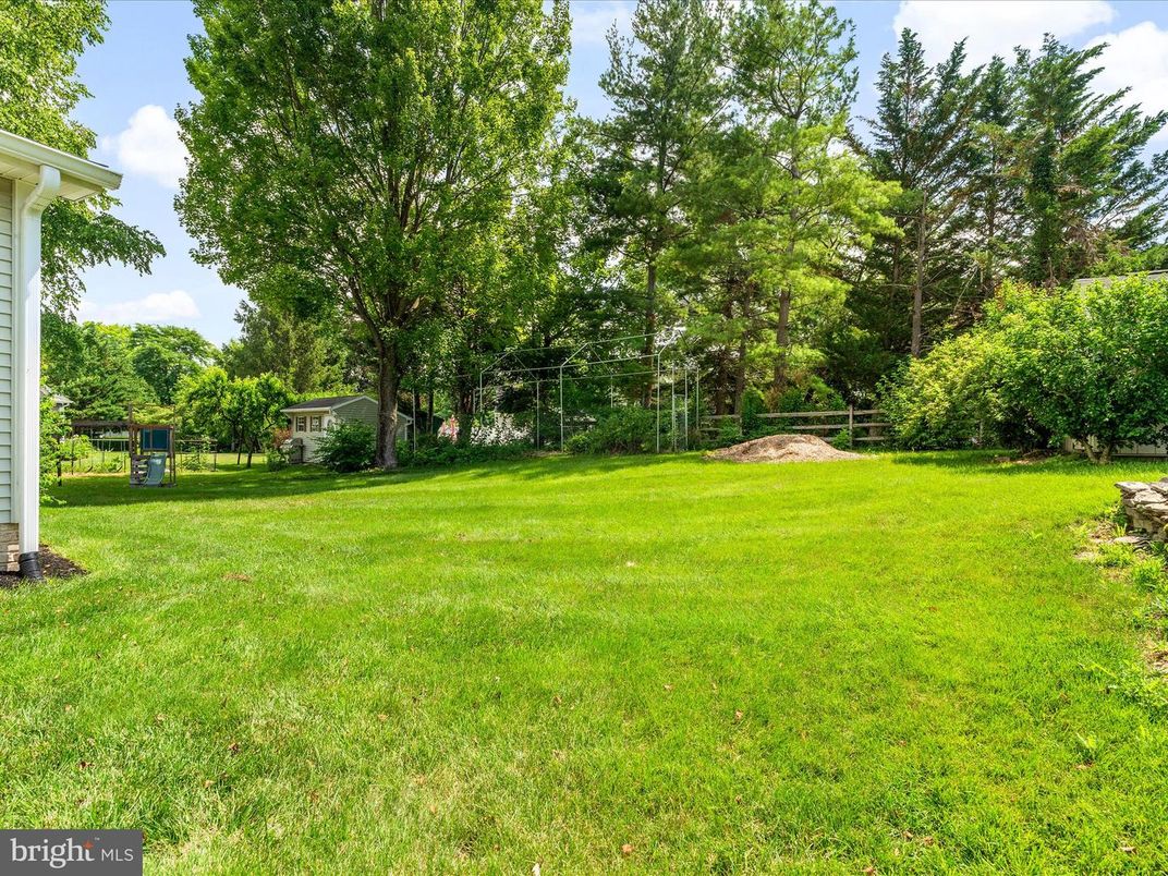 Backyard, Exterior, Playground