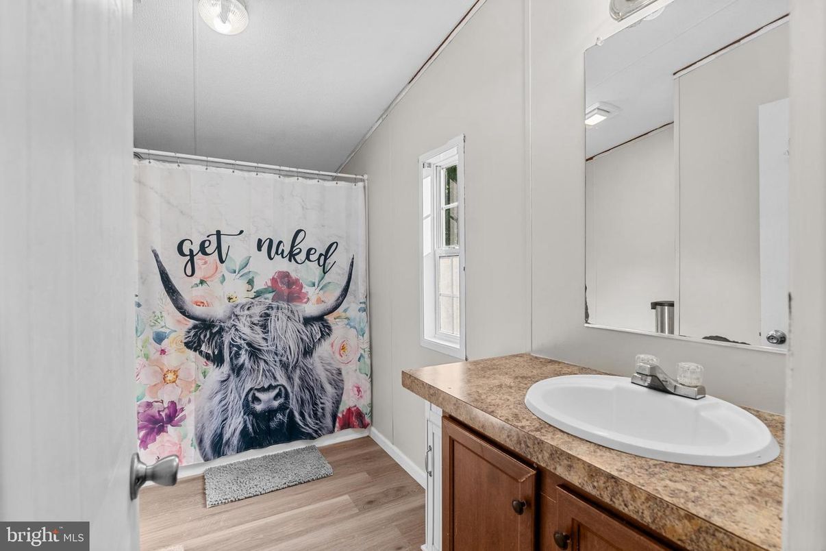 Bathroom, Interior, Wood Texture Flooring