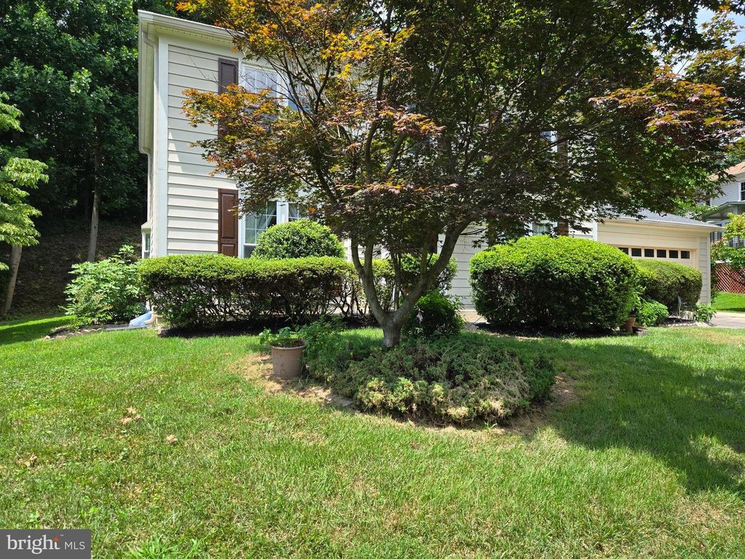 Backyard, Detached Garage, Exterior