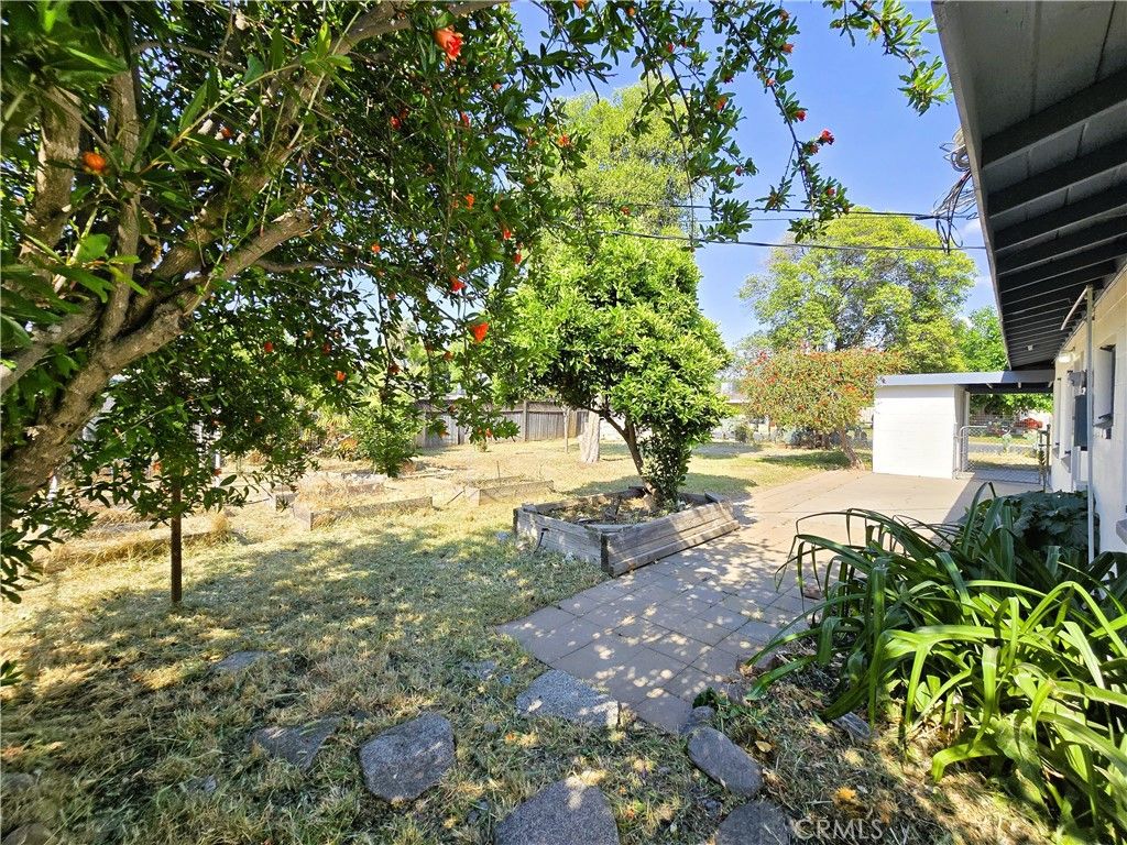 Backyard, Detached Garage, Exterior