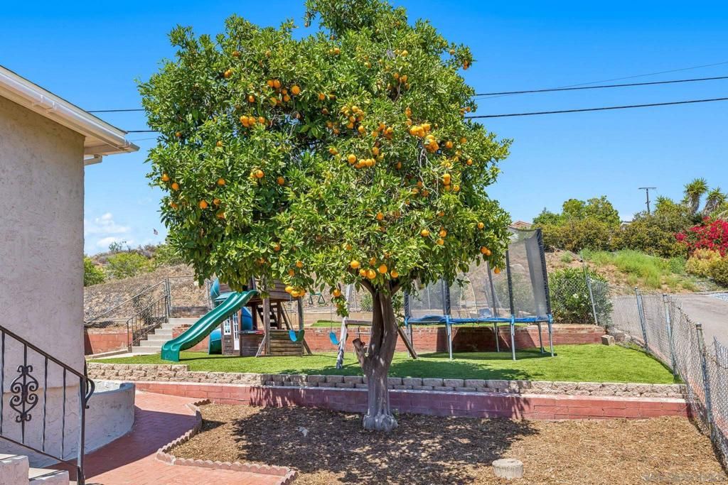 Backyard, Exterior, Playground