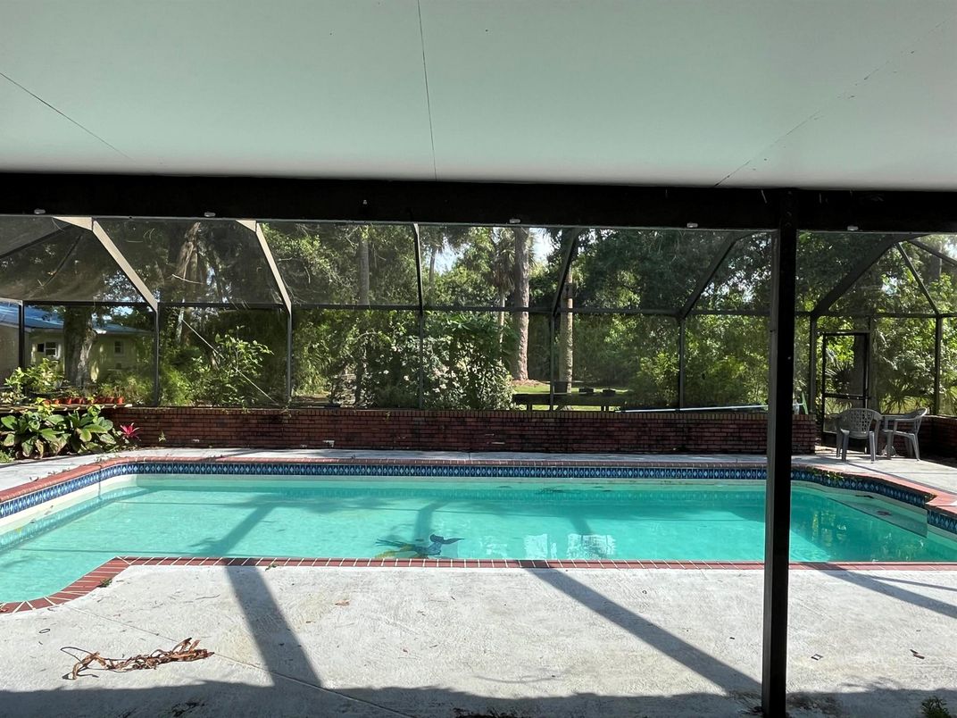 Glass Ceilings, Interior, Pool, Sun Room